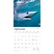 Sharks | 2026 12 x 24 Inch (Hanging) Monthly Square Wall Calendar | Plastic-Free